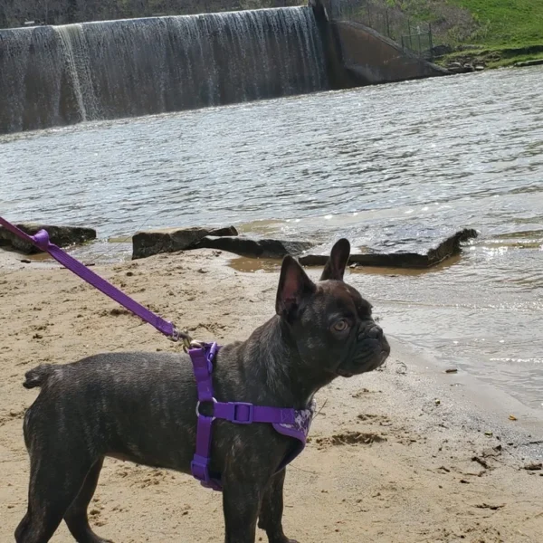 20200502_152528-scaled