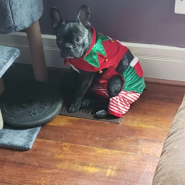 20201203_121515-scaled