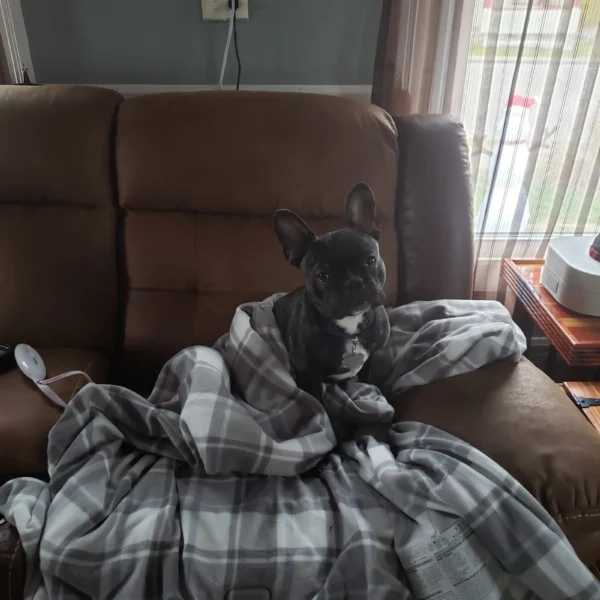 20201207_123301-scaled