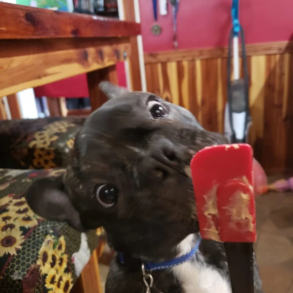 20201225_120210-scaled