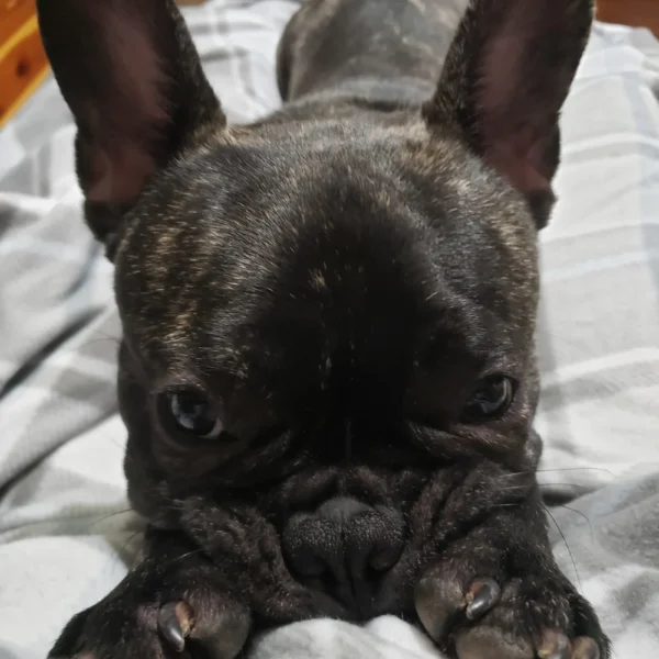 20201231_224803-scaled