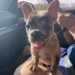 CF6DECB3-5B0A-4B73-80BA-1614EB3C3967-150×150