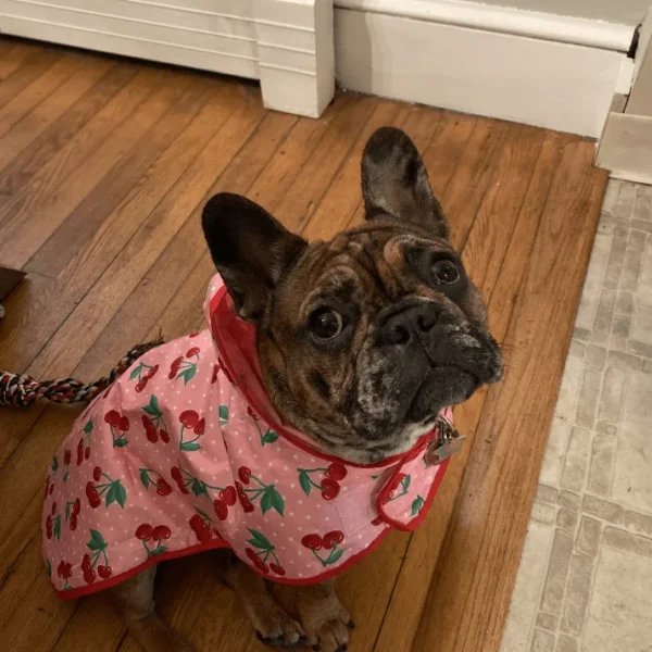 Screenshot_2020-12-21-05-32-08-1