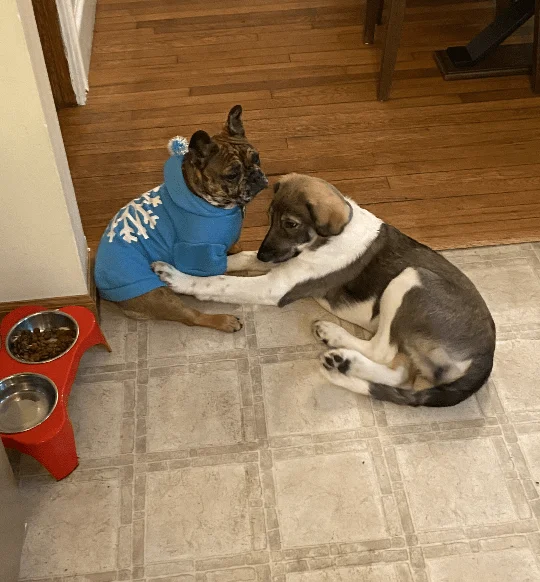 Screenshot_2020-12-21-05-32-18-1-e1617298753944