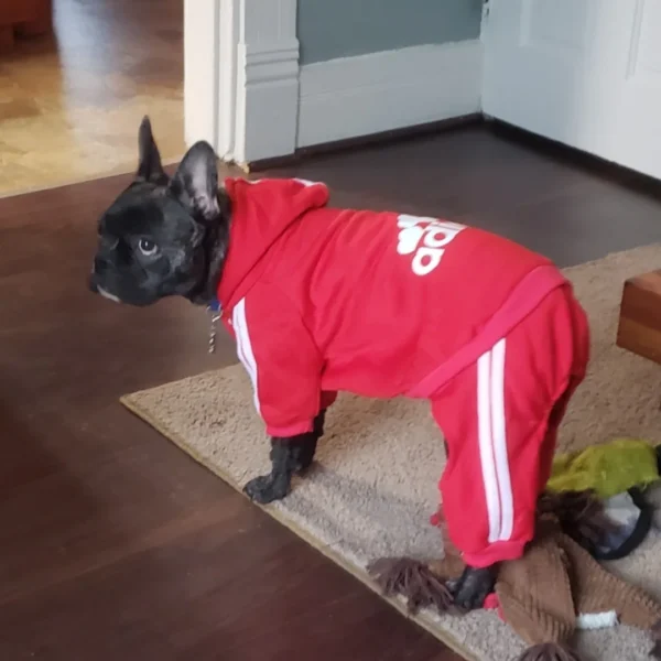 Screenshot_20201125-135029_Gallery