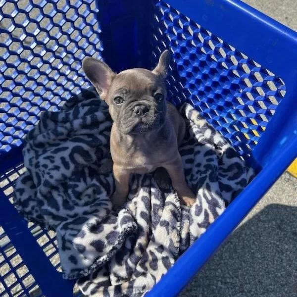 image_210f34fd04177a64fe82ac271dbd98b6dc4af2c9