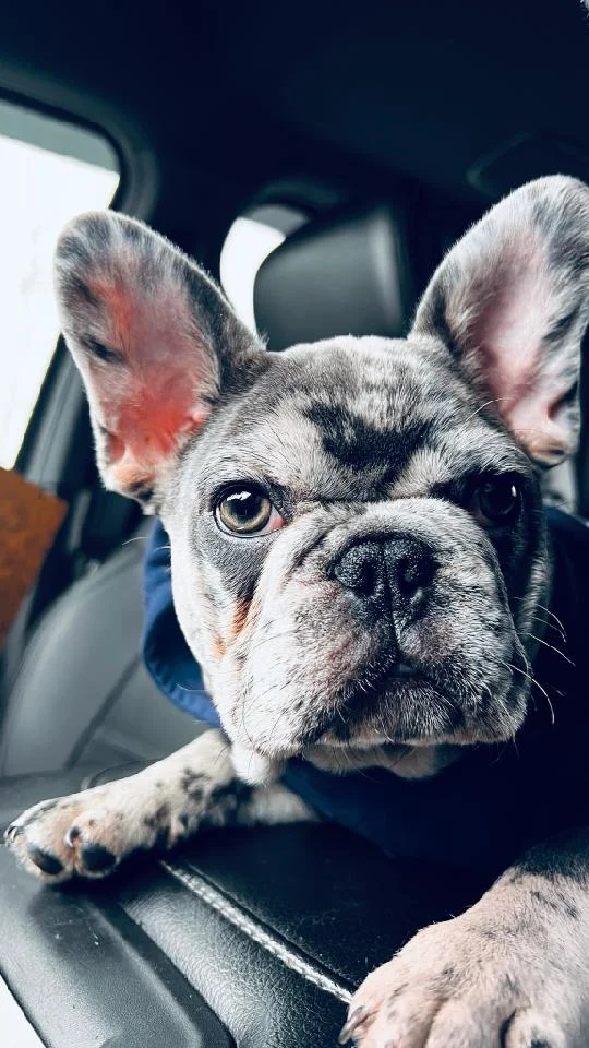 image_32adbb1c3f0379b3a544aabfdec13875959c8fcf